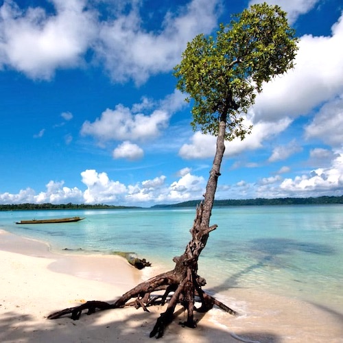 aa havelock-island-andaman