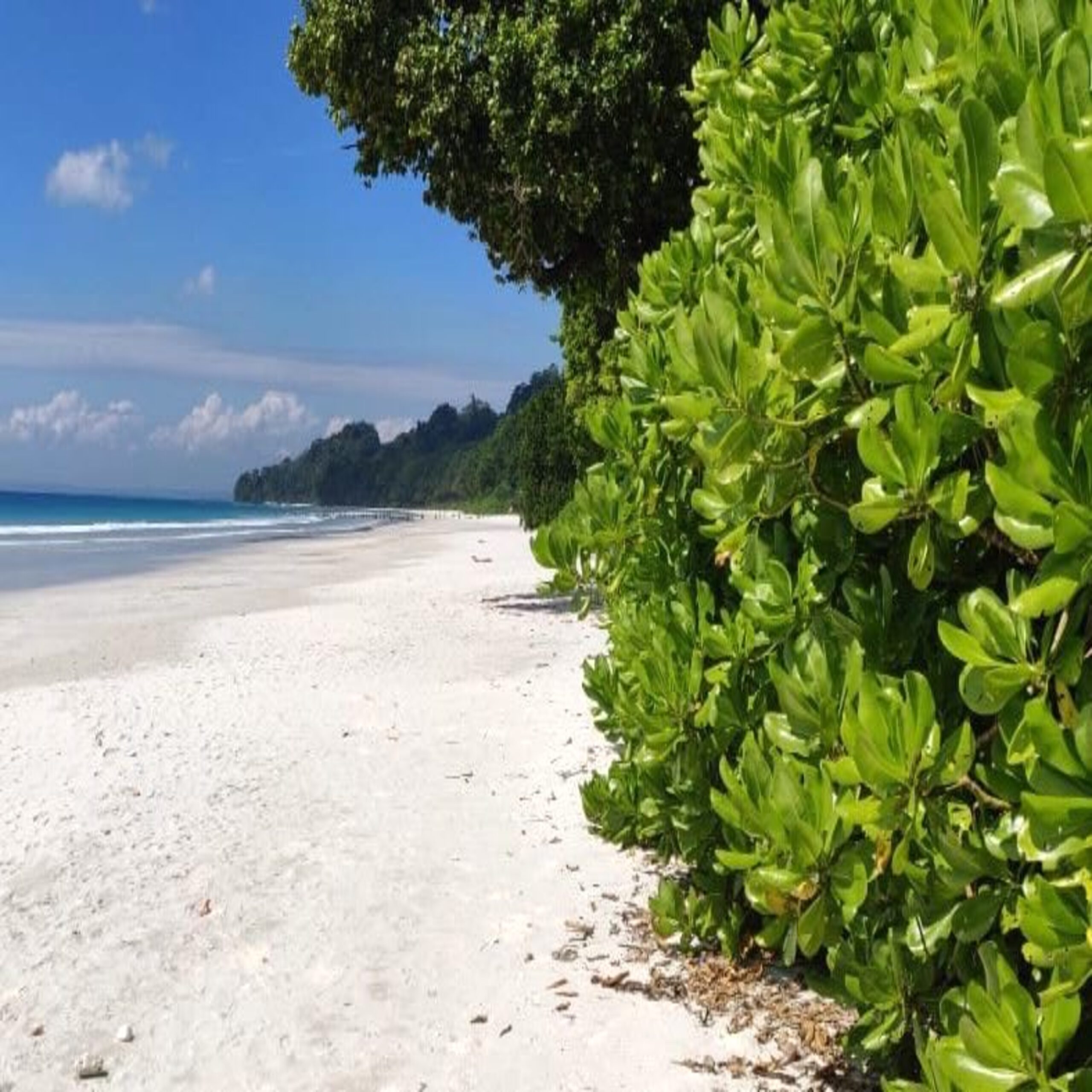 RADHANAGAR BEACH RADHANAGAR BEACH