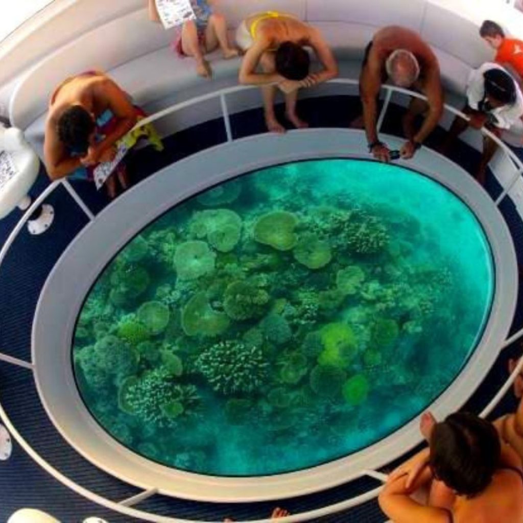 Andaman Dolphin Glass Bottom Boat Ride