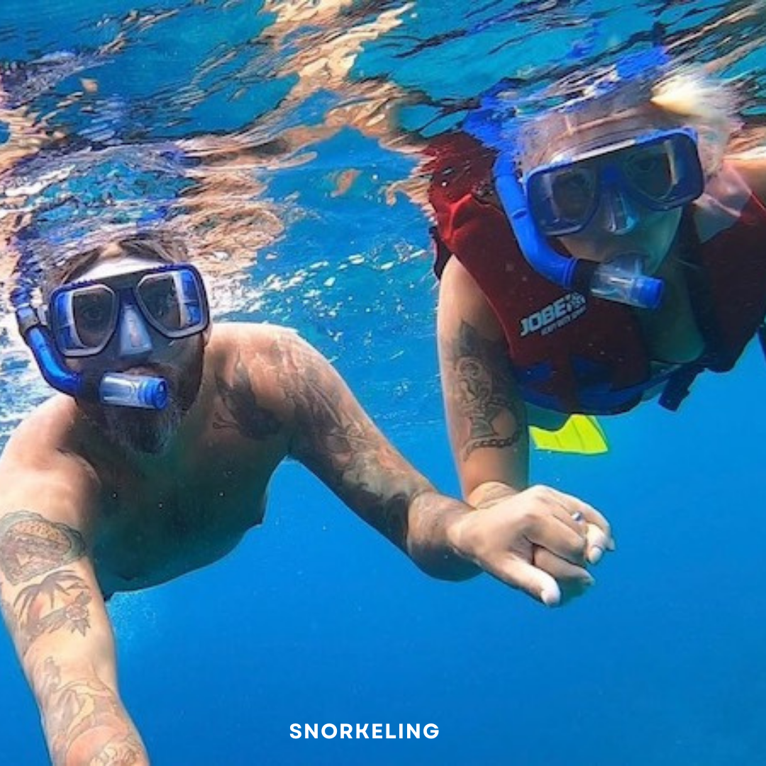 https://aarohitoursandtravels.com/
