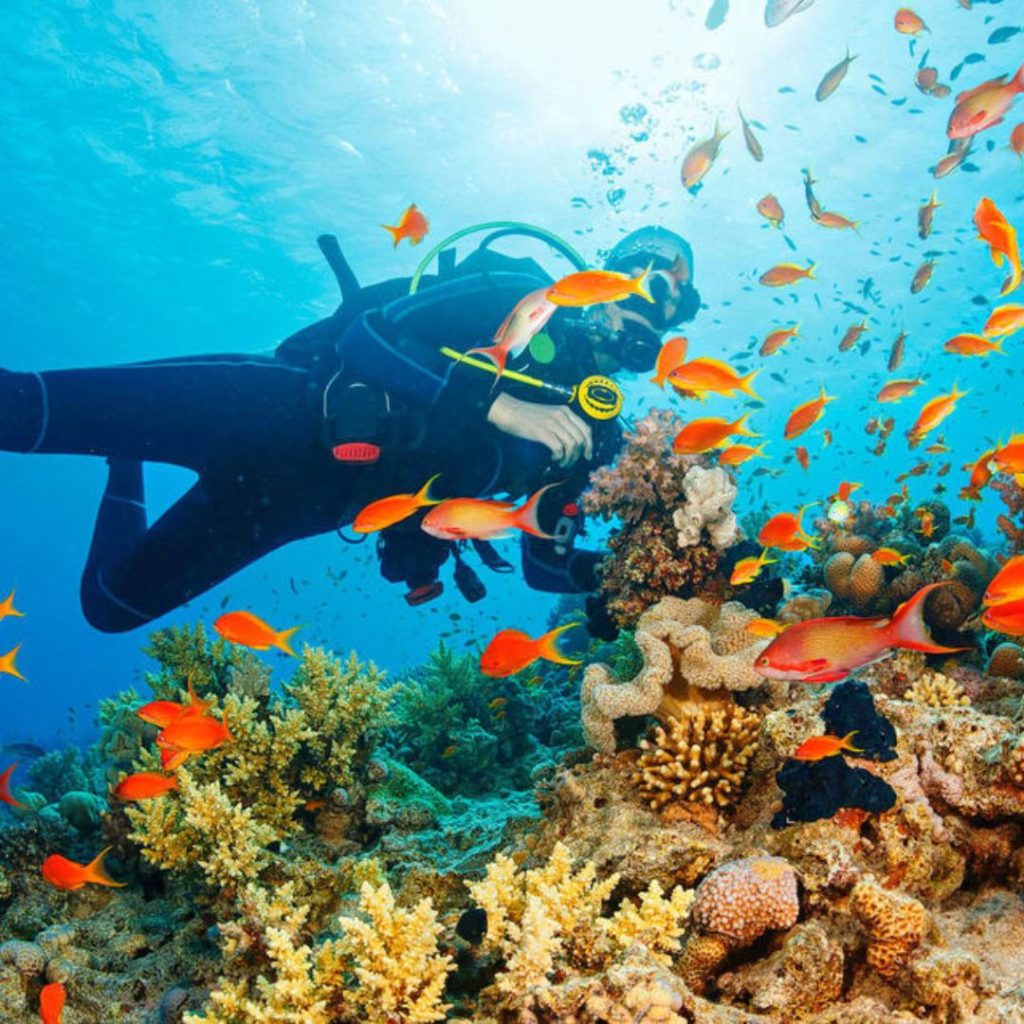 Night Diving in Havelock Island