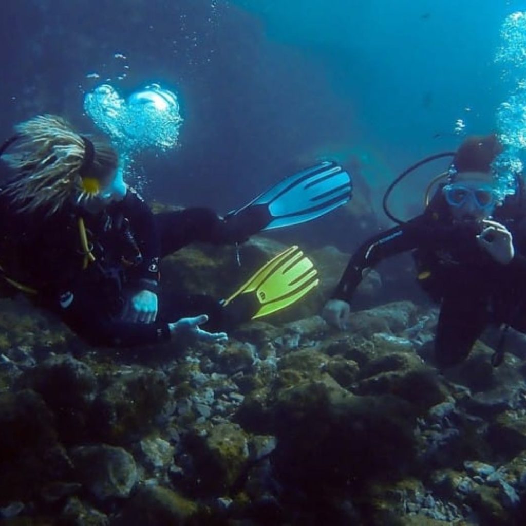1-2 Hours Per Dive