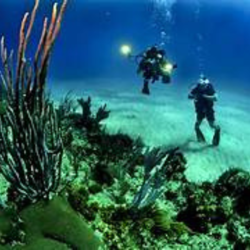 Scuba Diving in North Bay Island