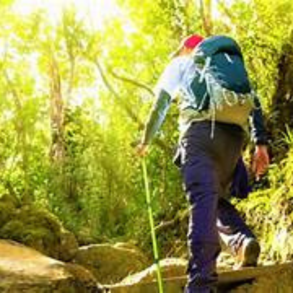Trekking andaman